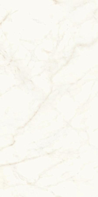 ATLAS CONCORDE MARVEL SHINE Calacatta Delicato Matte