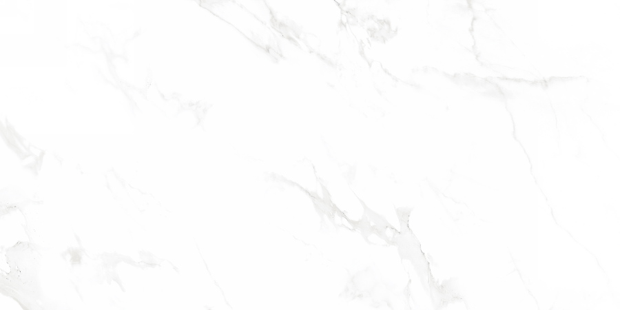 Venus Bianco Polished N12003