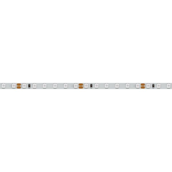 Светодиодная лента Arlight RT-A120-5mm 24V Red (9.6 W/m, IP20, 2835, 5m) 015657(2)