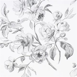 обои Designers guild P540/01 Watelet Black and White