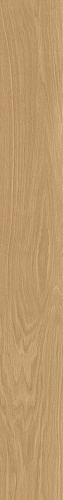 ATLAS CONCORDE LOG SELECT Amber Pure