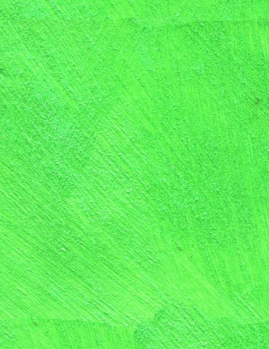 HOLLYWOOD_VERDE_244