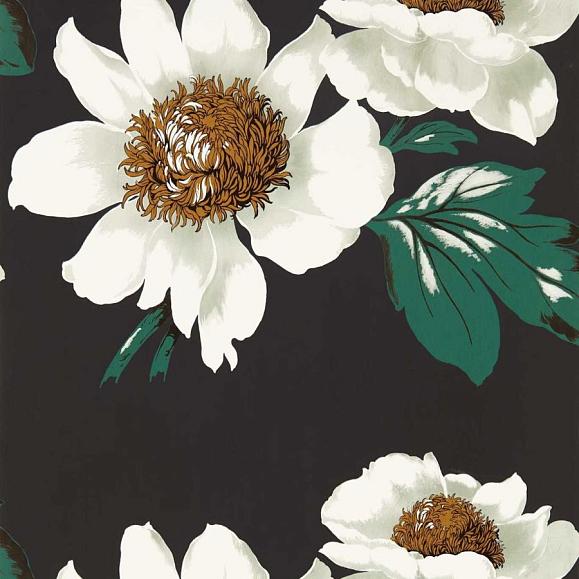 Обои Harlequin 112841 Paeonia Black Earth/Fig Leaf/ Gold