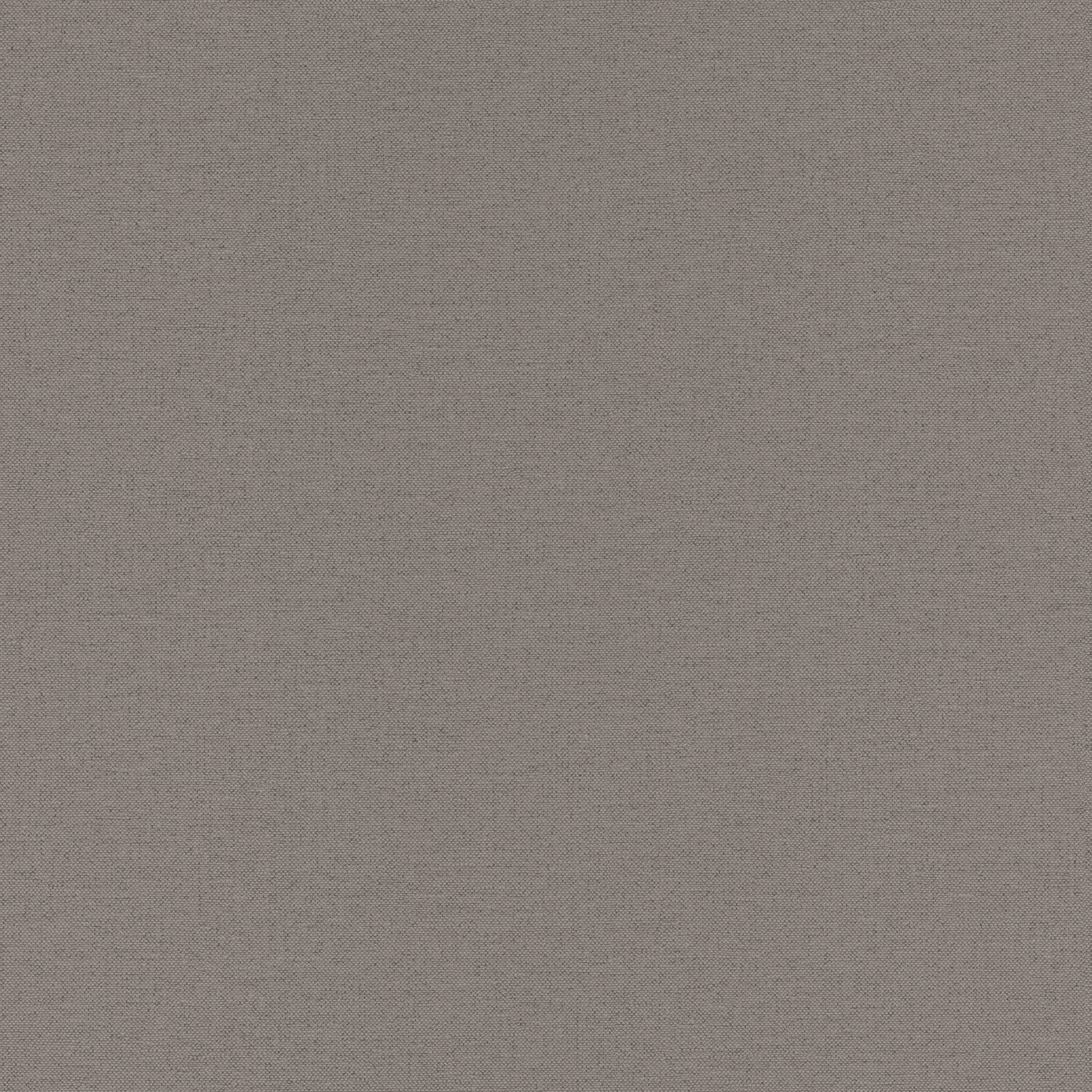 295619