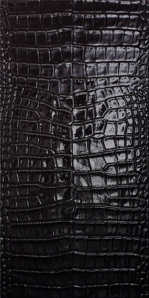 Настенная плитка QUEENSWAY BLACK
