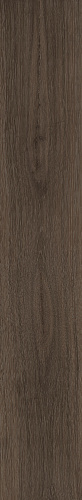 Mocha