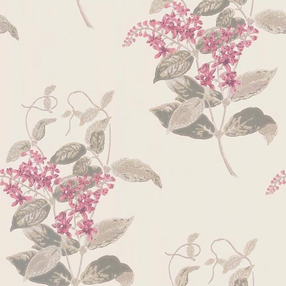 Обои Cole & Son 100/12058 Madras Violet