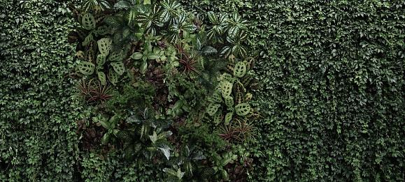 Панно Ortograf 32747 Living Wall