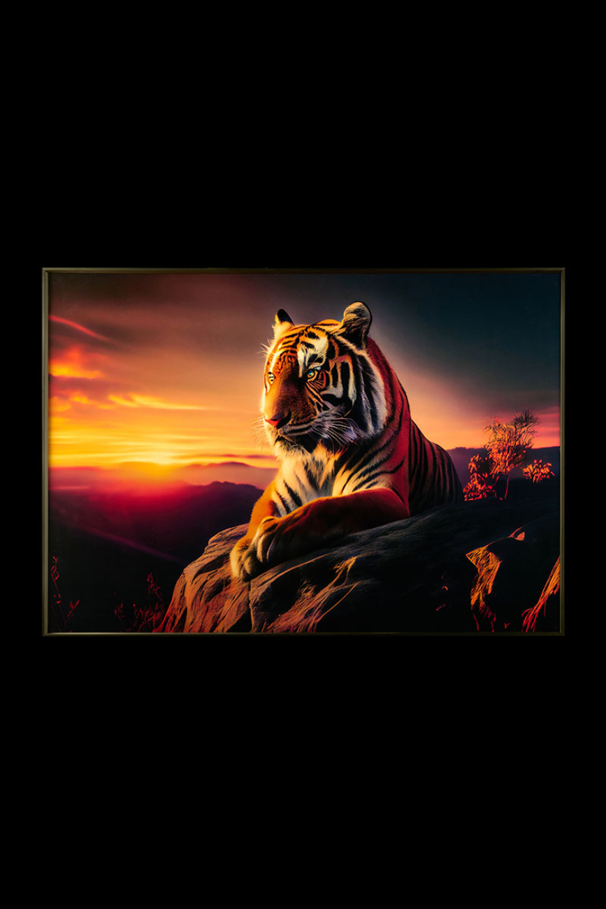 Картина Tiger TD163