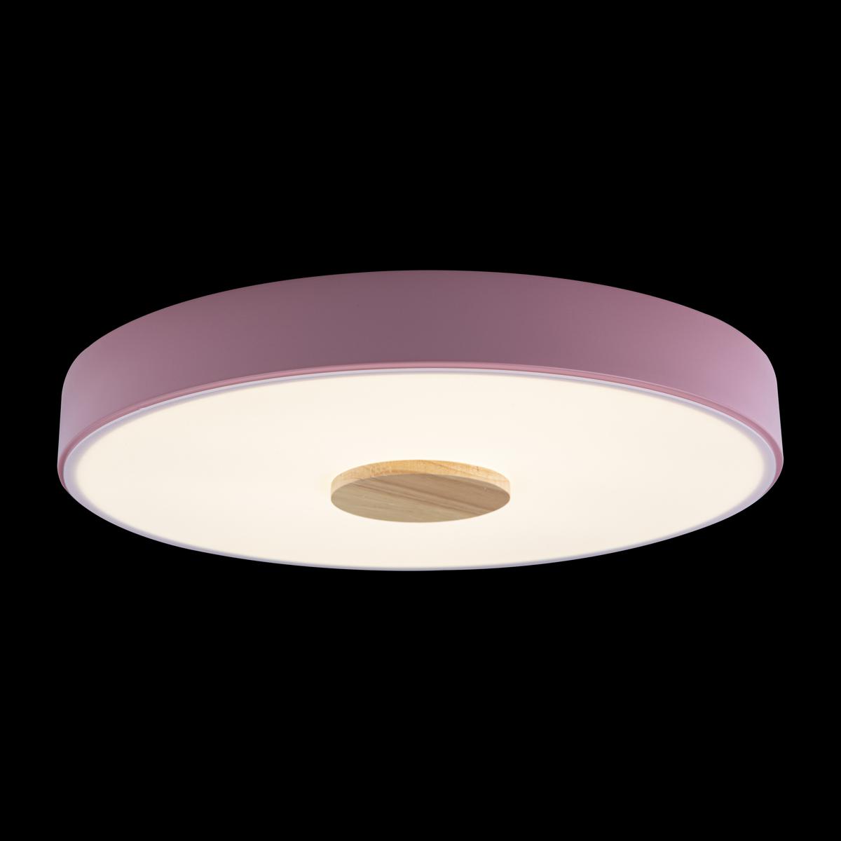 Потолочный светильник Loft IT AXEL 10003/24 Pink