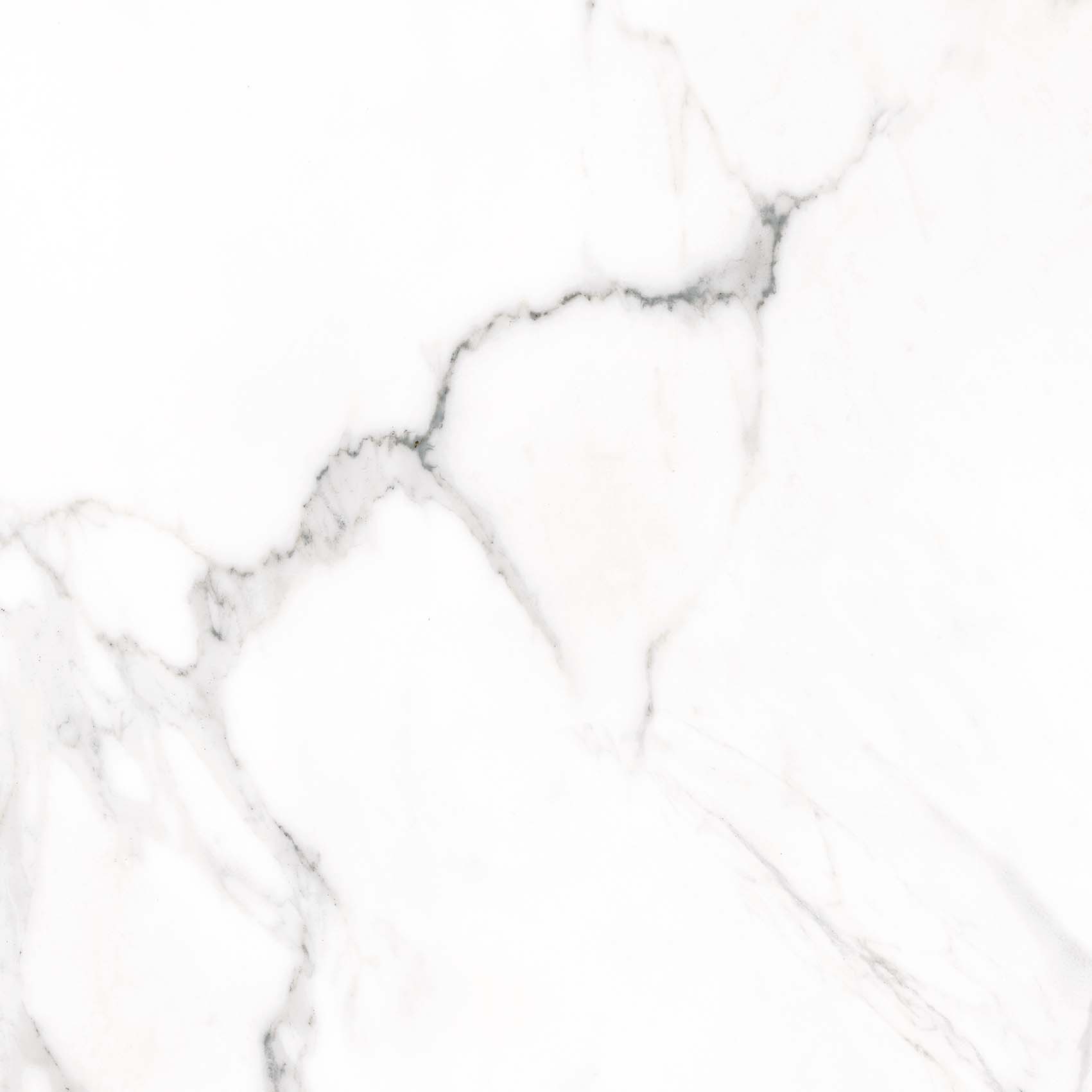 Doney-R Blanco