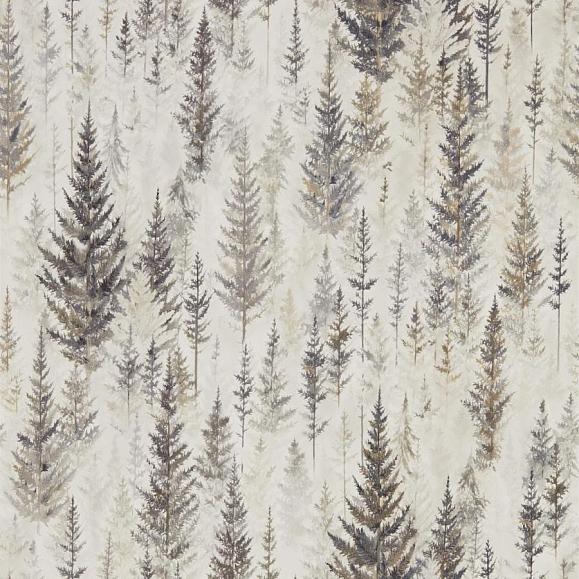 Обои Sanderson 216621 Juniper Pine Elder Bark