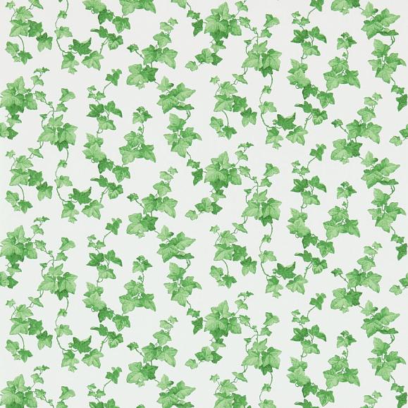 Обои Sanderson 214593 Hedera Green