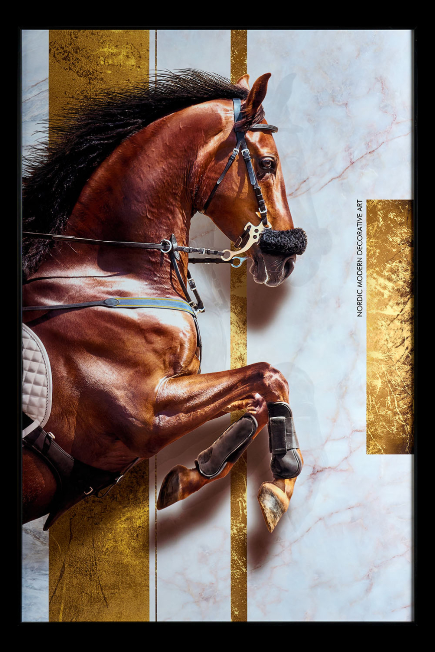 Картина Horse TD244