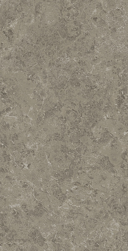 ATLAS CONCORDE MARVEL MERAVIGLIA Grigio Elegante Lappato 9 mm