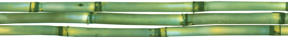 Бордюр Canas De Bambu Listwa B