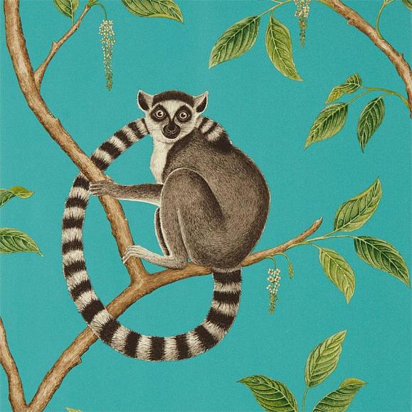 Обои Sanderson 216663 Ringtailed Lemur Teal