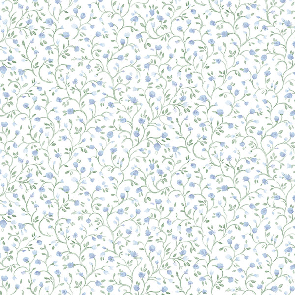 PP35539