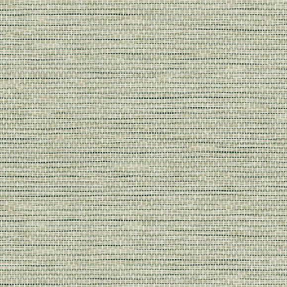 Обои Arte 60507 Le Papier Tisse Pistache