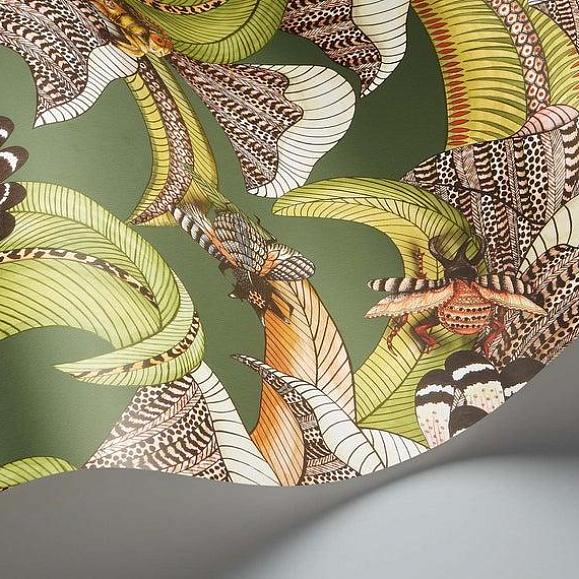 Обои Cole & Son 119/1003 Hoopoe Leaves