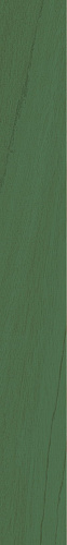 41zero42 TECHNICOLOR Green Bottle