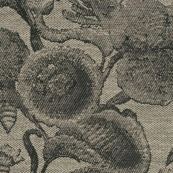 Обои Arte MO5002 Coccinella Bella Jacquard Black & Ivory