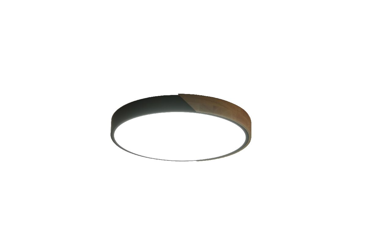 Потолочный светильник Zortes Alberro ZRS.01280.48