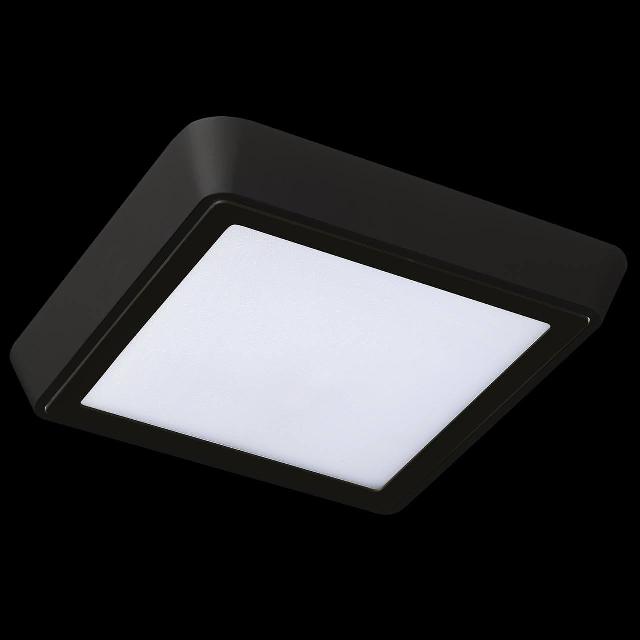 Уличный светильник Lightstar 216874