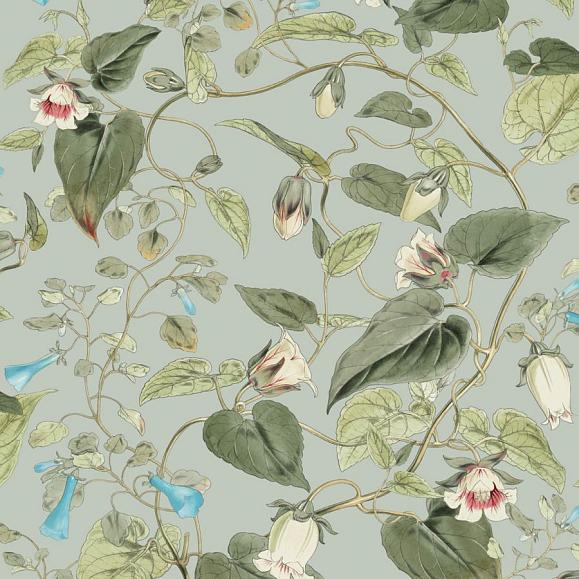 Обои York BL1712 Moon Flower Dove