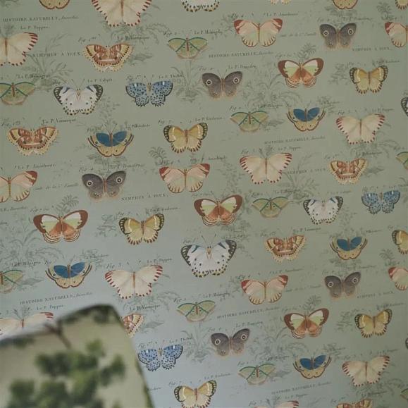 Обои John Derian PJD6017/03 Butterfly Studies Eau de Nil