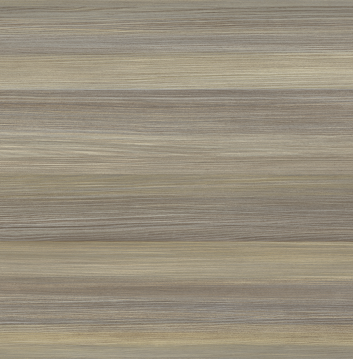 BV55207 (BW55207)