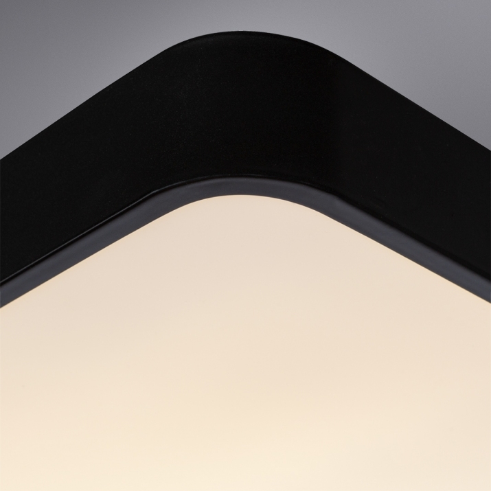 Потолочный светильник Arte Lamp A2663PL-1BK