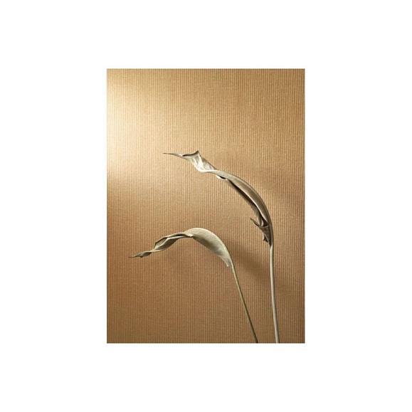 Обои Casadeco 89652424 Papier Kraft Caramel