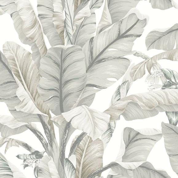 Обои York BW3972 Banana Leaf Light Neutral