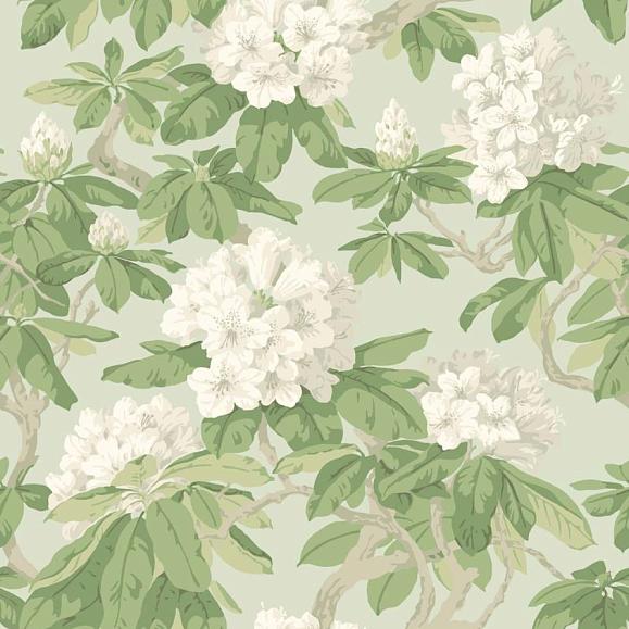 Обои Cole & Son 99/4022 Bourlie