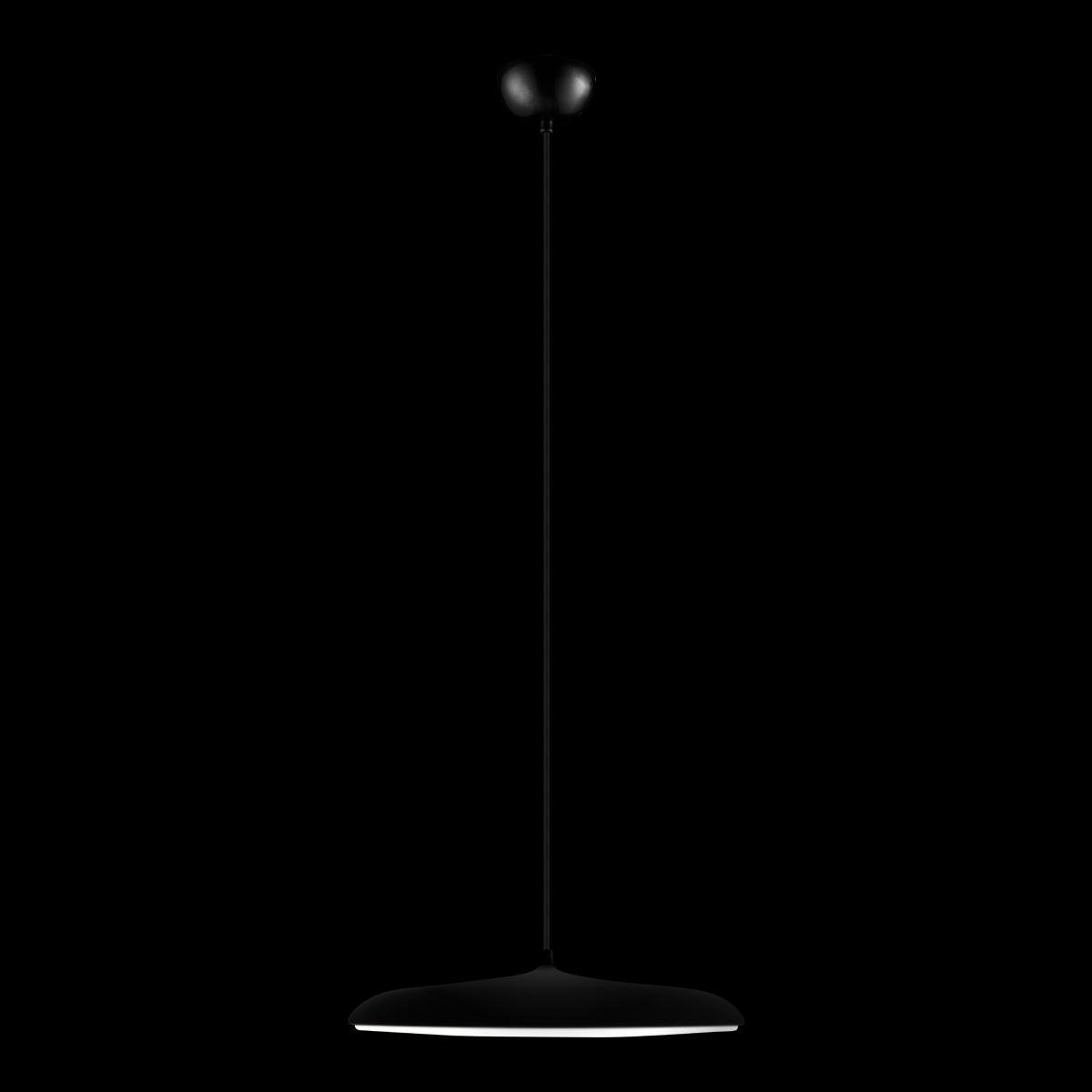 Подвесной светильник Loft IT Plato 10119 Black
