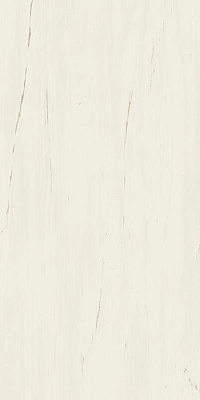 ATLAS CONCORDE MARVEL STONE Bianco Dolomite Lapp Лаппатированный