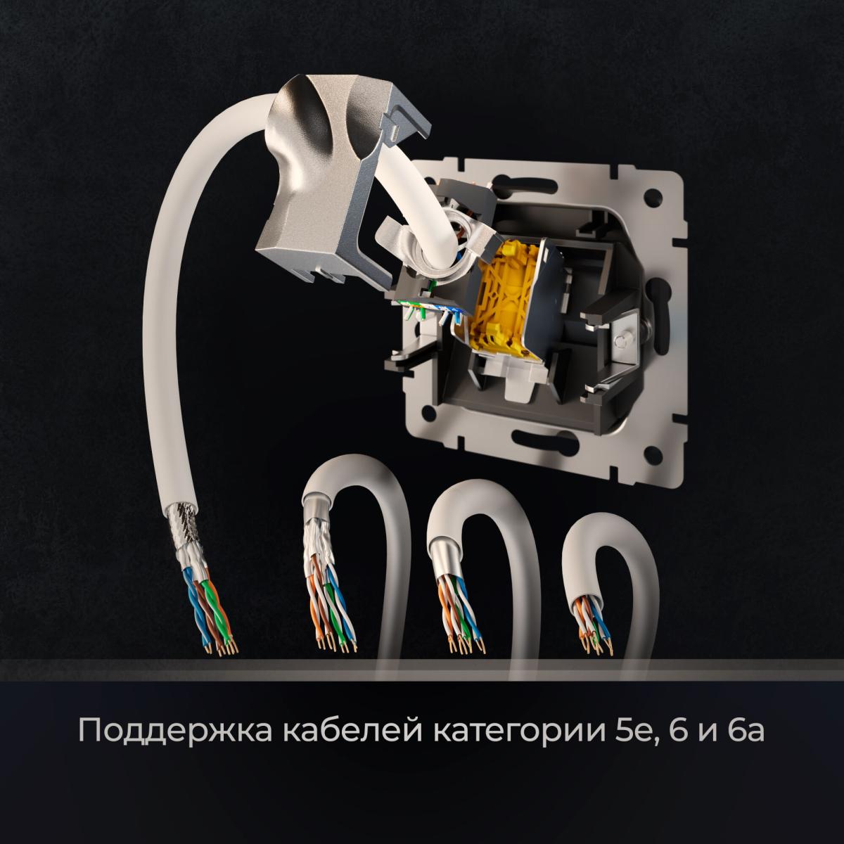 Розетка Ethernet RJ-45 cat. 6A экранированная Werkel W5120108 4690389213496 a069685