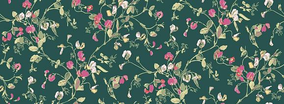 Обои Cole & Son 115/11033 Sweet Pea