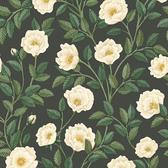 Обои Cole & Son 118/7016 Hampton Roses Cream & Forest Green on Charcoal