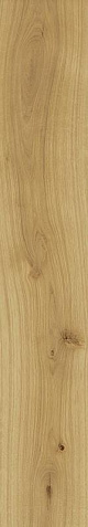 Exence Almond 20x120