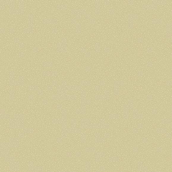 Обои Cole & Son 106/2024 Pebble