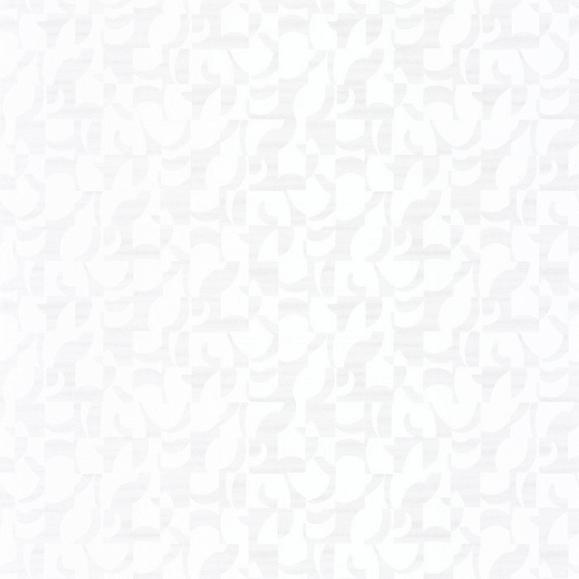 Обои Casadeco SWHT85140341 Ombre Blanc
