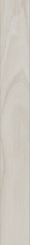 41zero42 TECHNICOLOR Beige