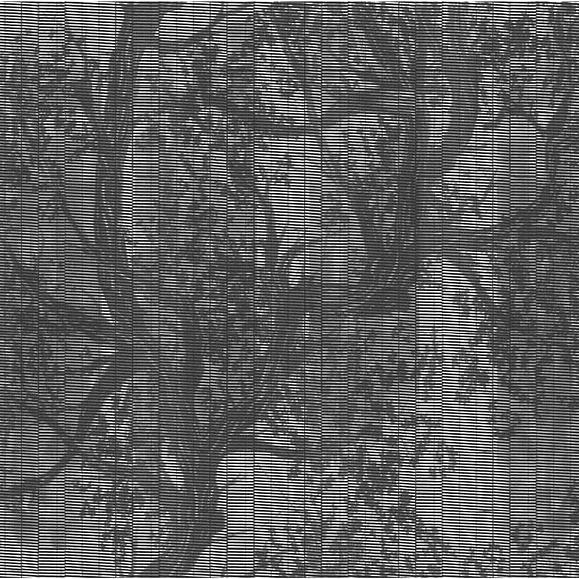 Обои Wall & Deco OUT_WP1901 Woodpecker