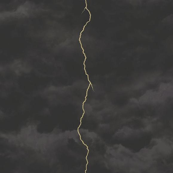 Обои Mayflower FJ000208 Lightening