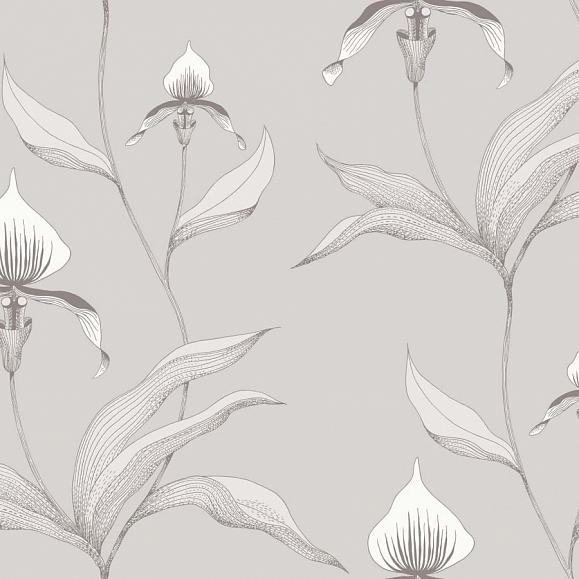 Обои Cole & Son 95/10055 Orchid