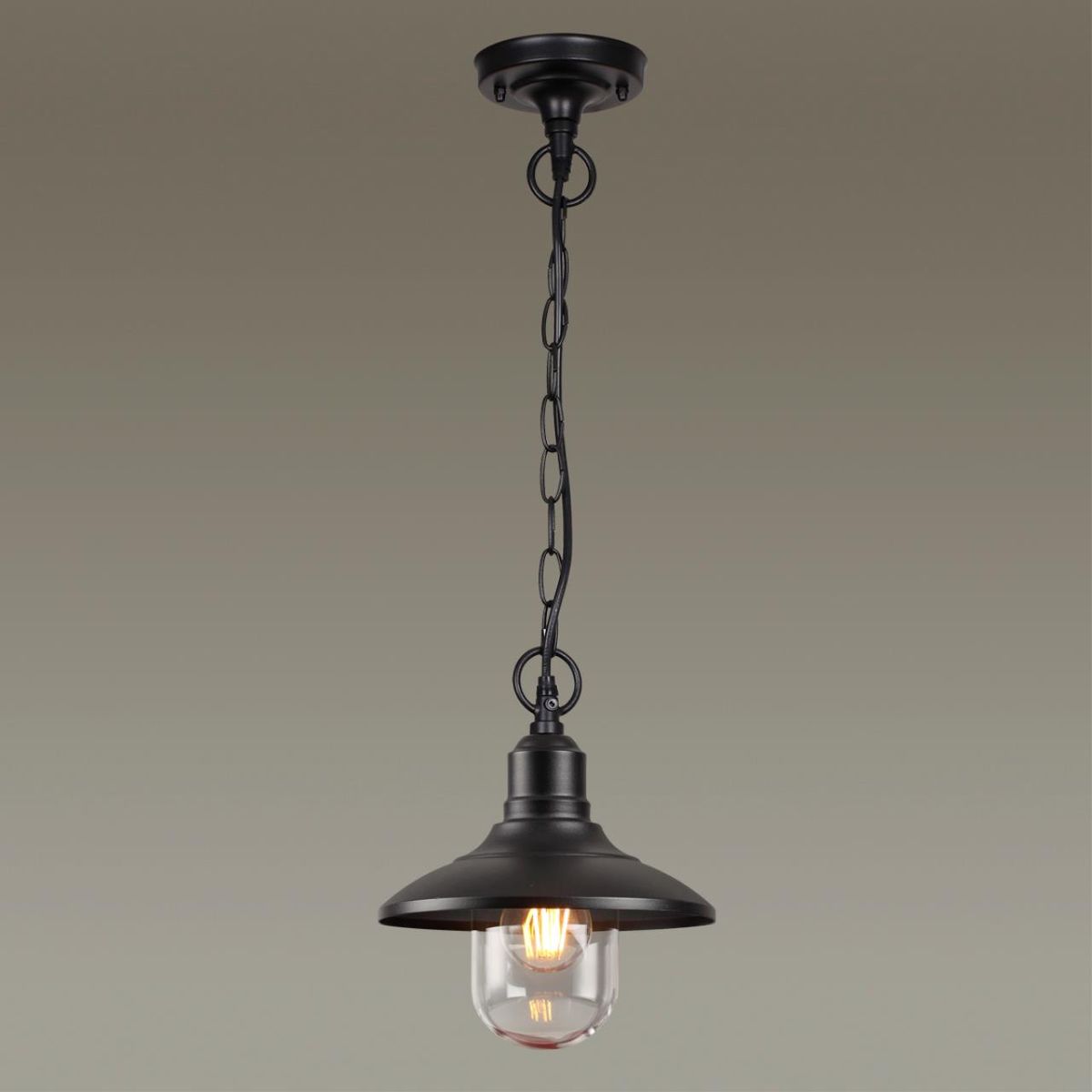 Уличный подвесной светильник Odeon Light Campa 4965/1