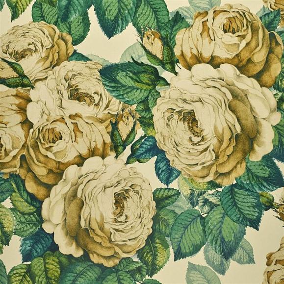 Обои John Derian PJD6002/01 The Rose Sepia