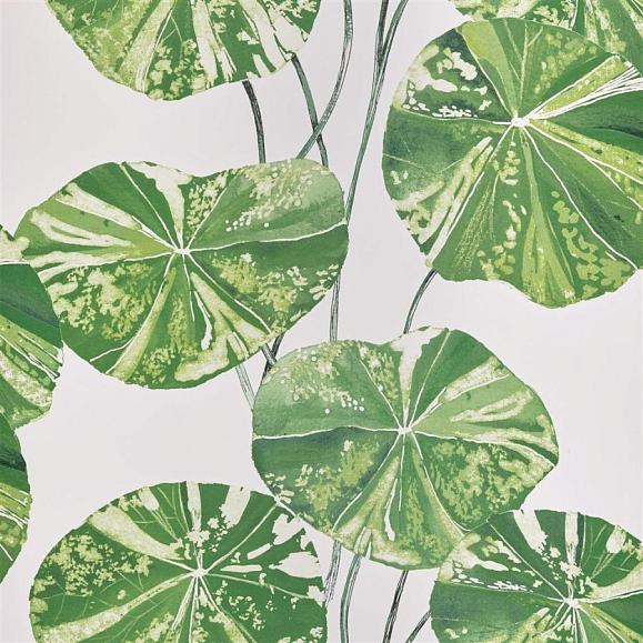 Обои Designers guild PDG1061/01 Brahmi Leaf